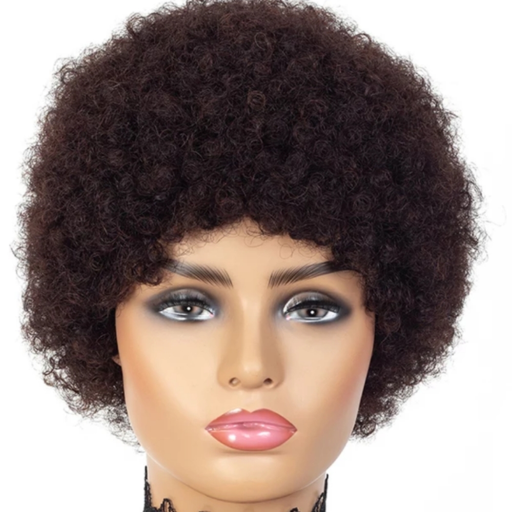 Afro human hair wig